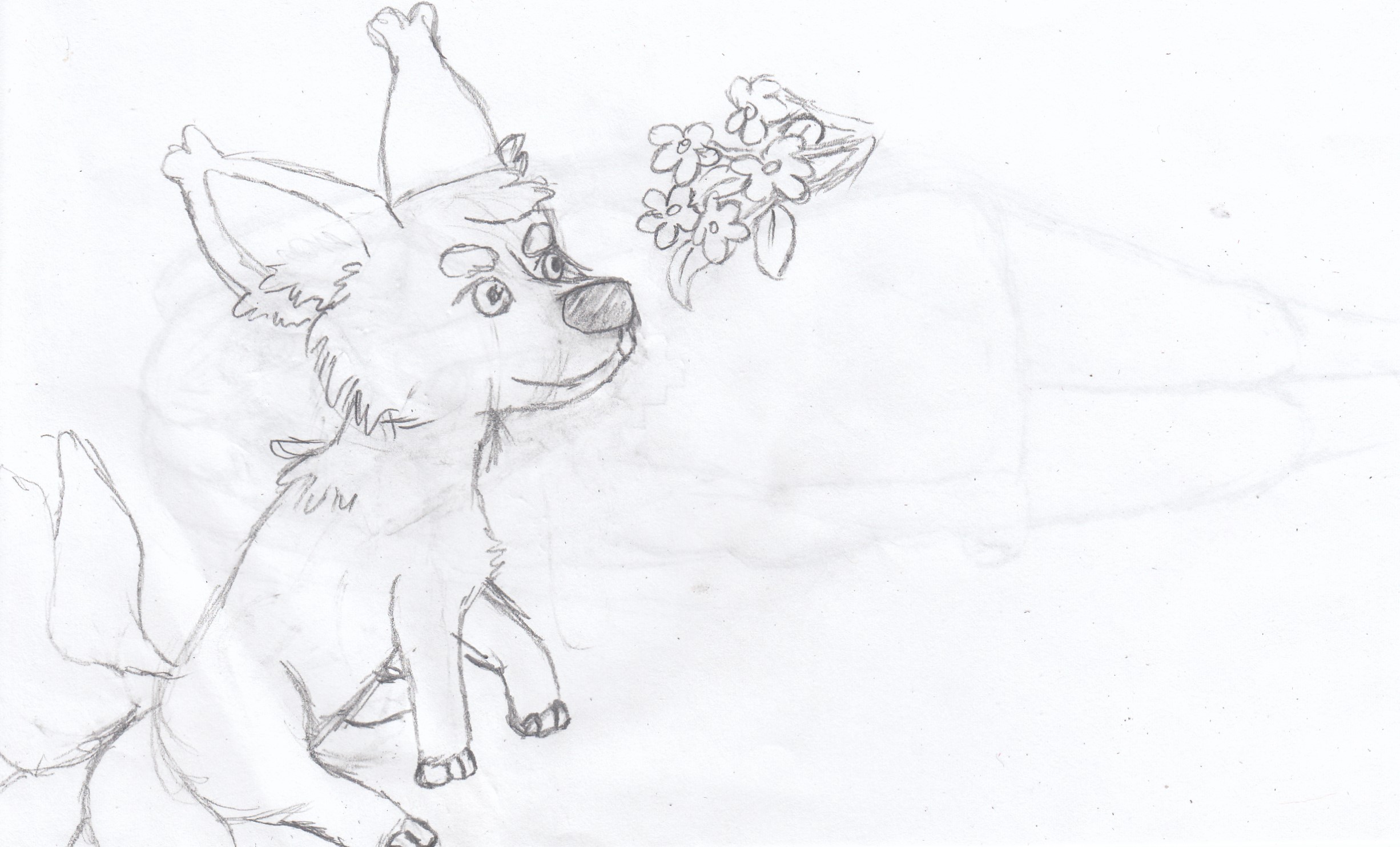 little creature.jpg