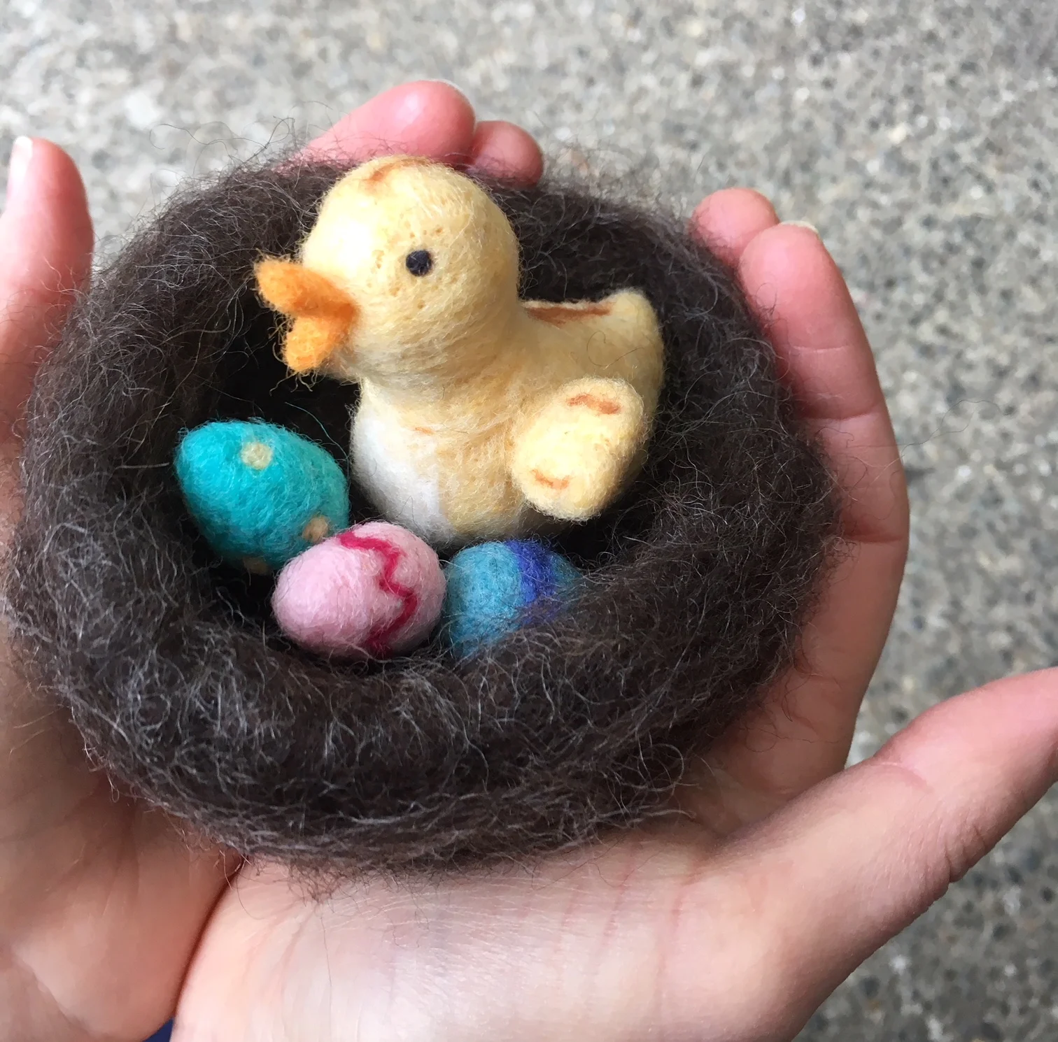 bird in a nest.jpg