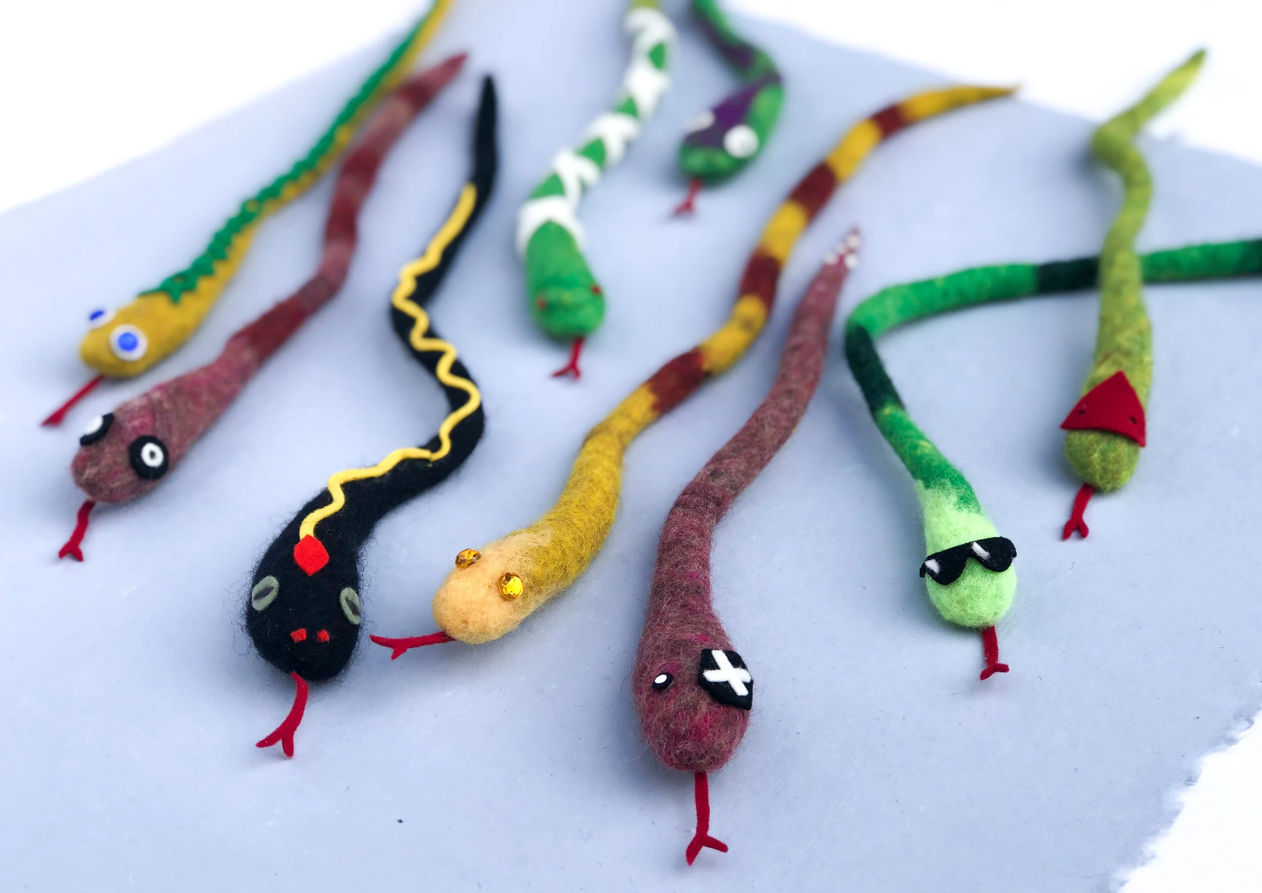 snake beginner kit