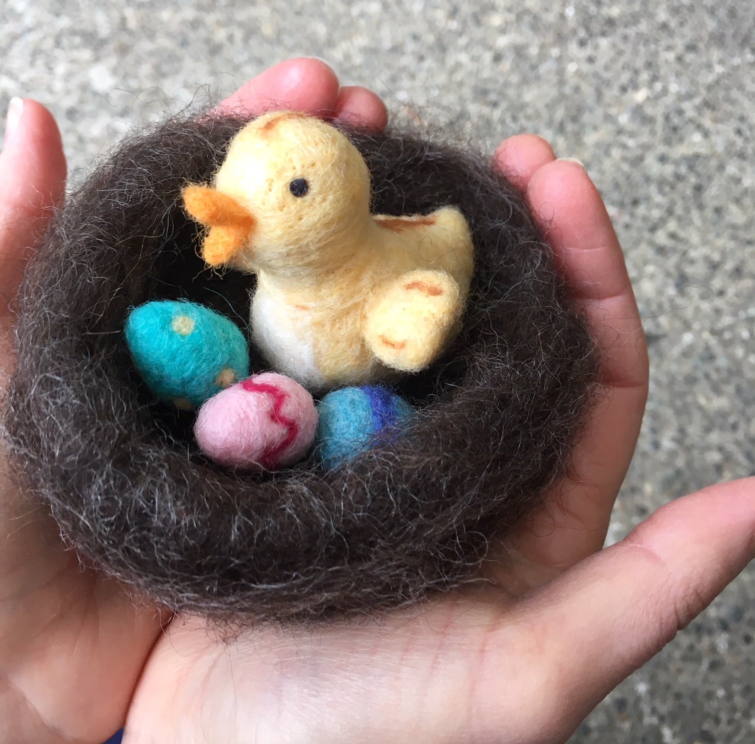 bird in a nest.jpg