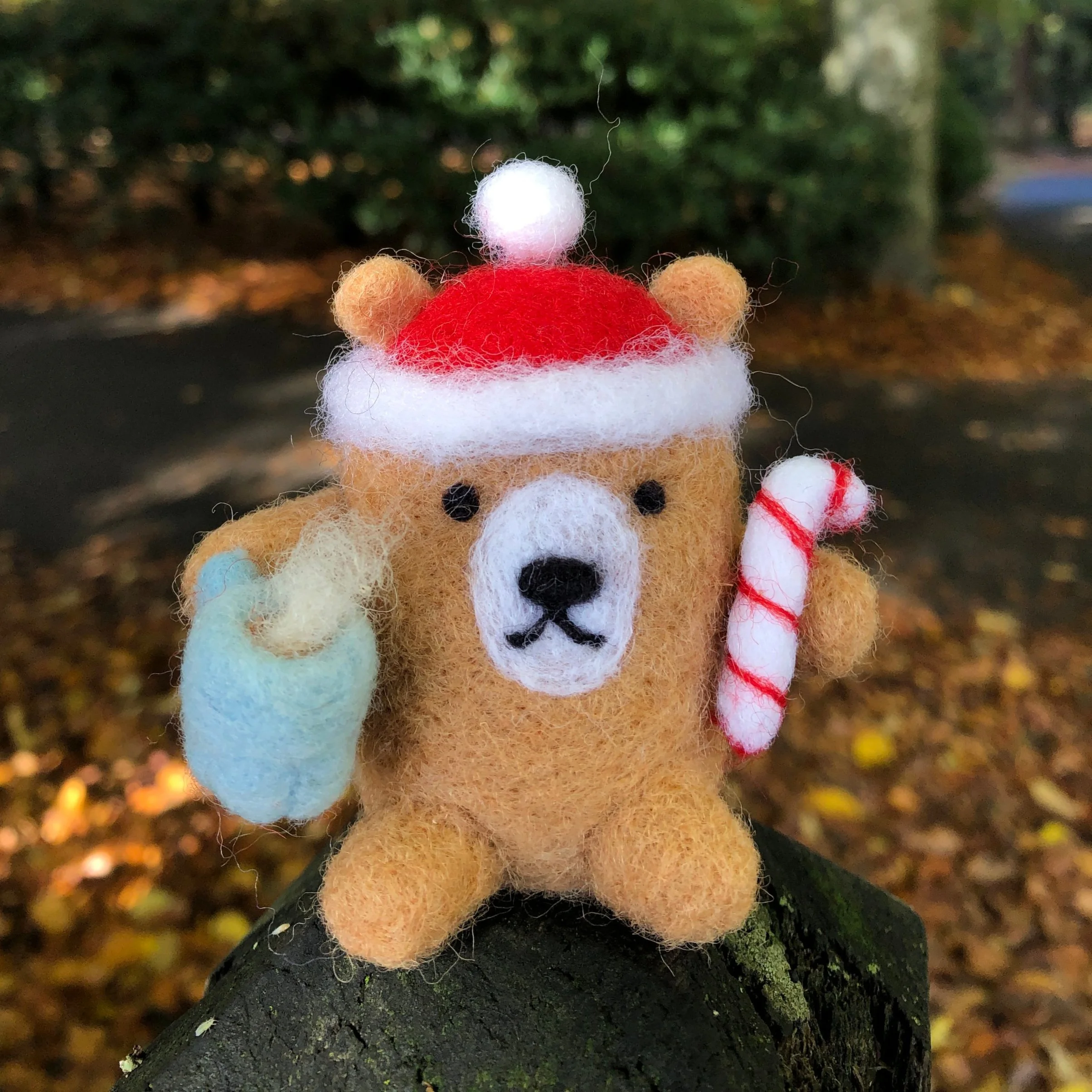 Cozy Cocoa Bear - Winter Break Needle Felting Workshop