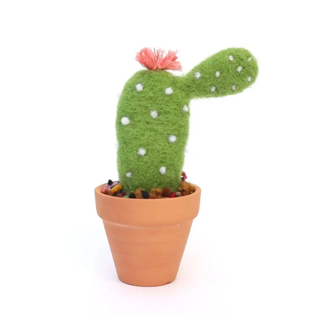 cactus.jpg