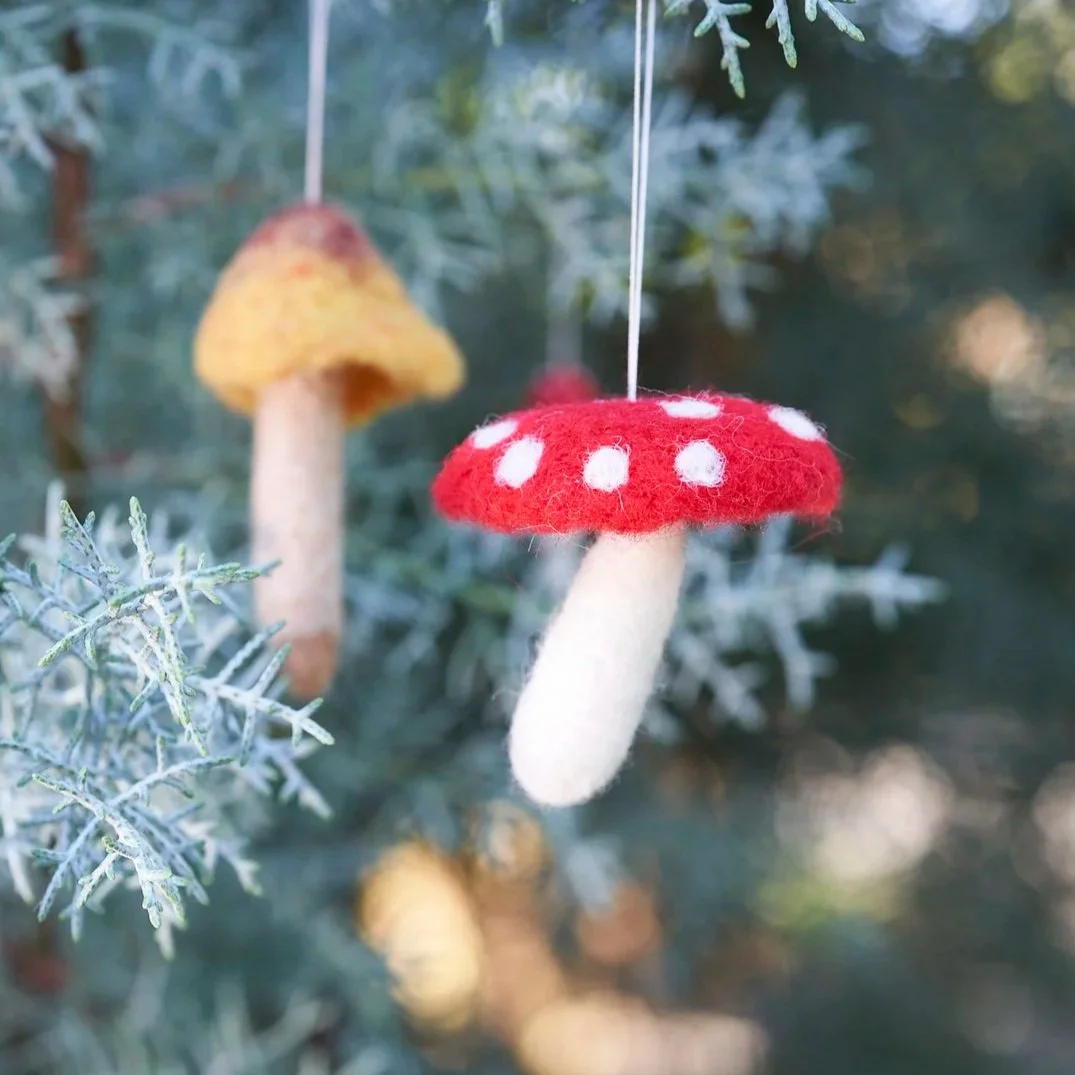 Fungi Party Felting Workshop *easy for beginners!*