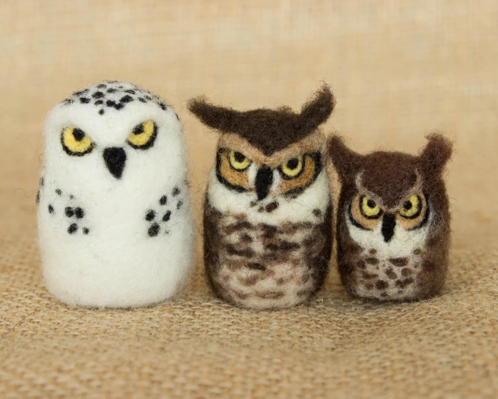 3 owls.webp