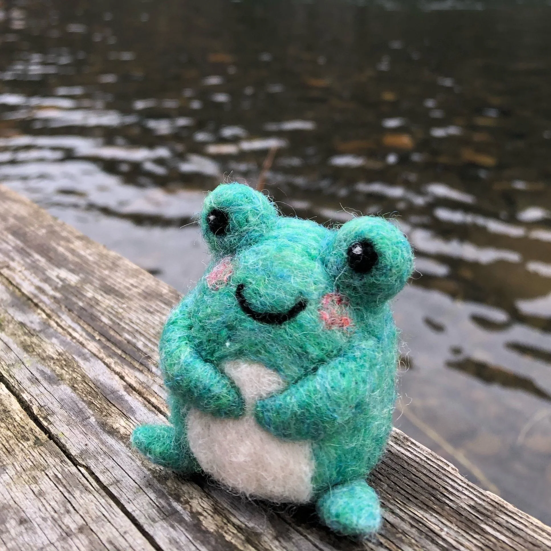Frog Friend *animal felting for beginners*