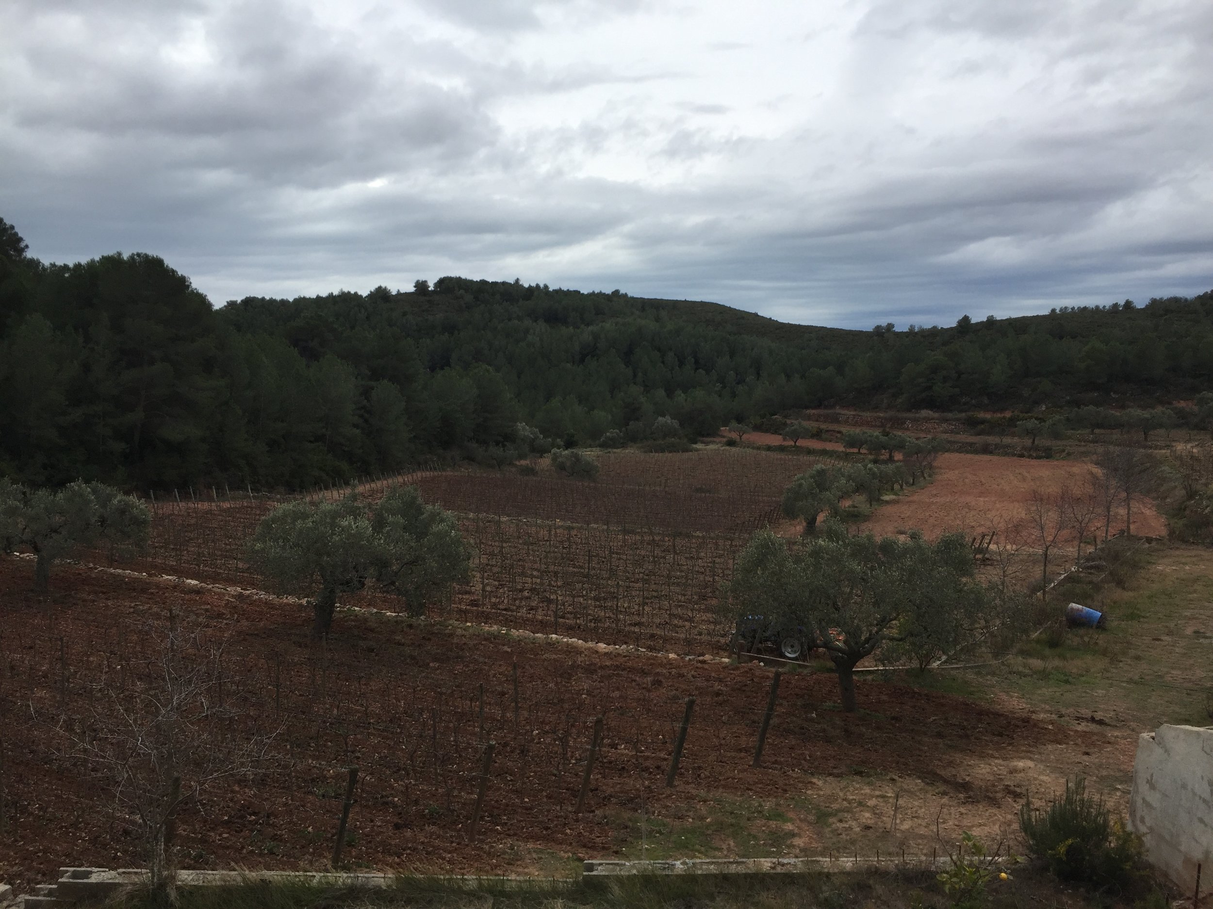 Bonastre, Catalunya