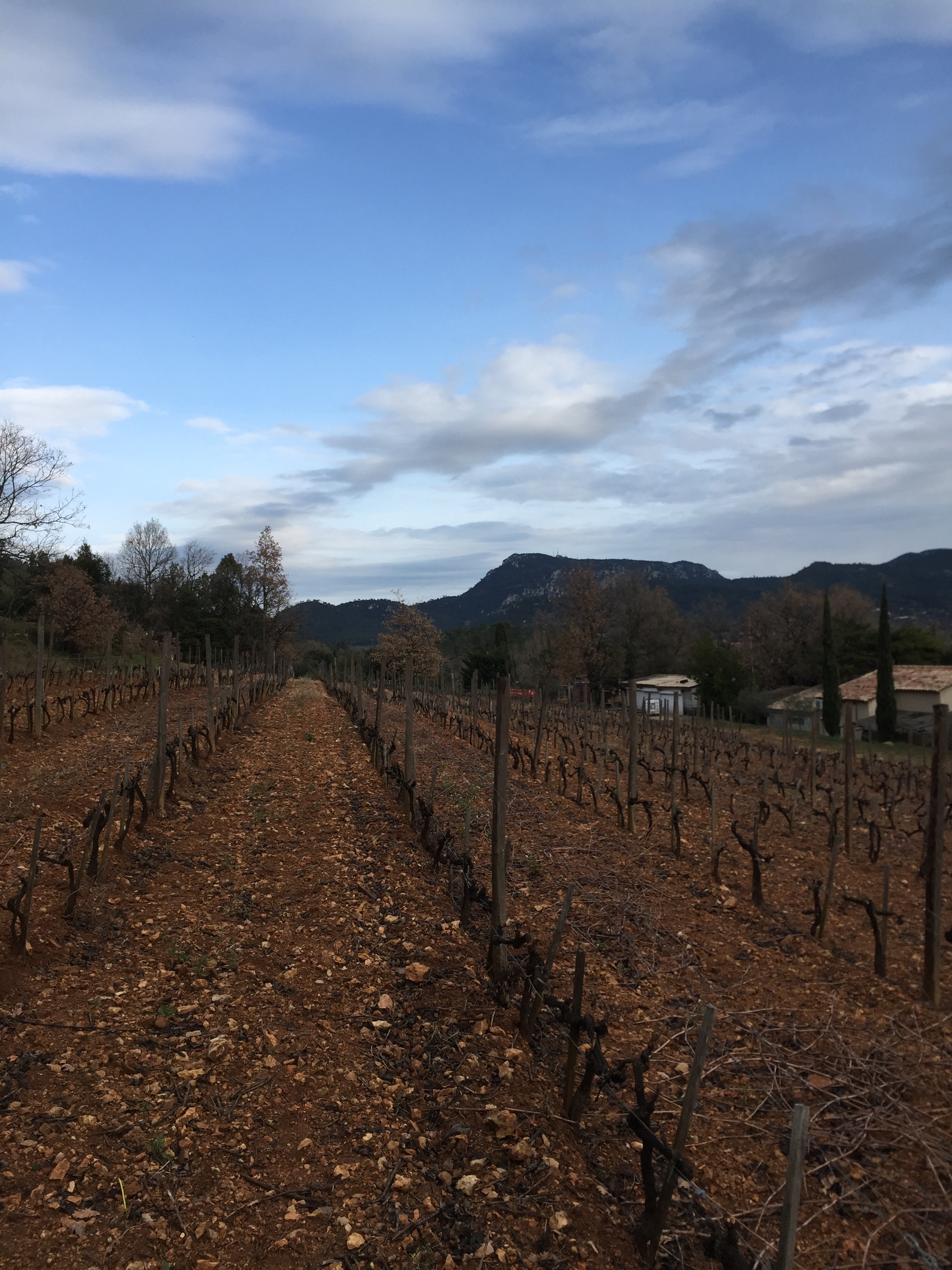 La Roquebrussanne, Provence