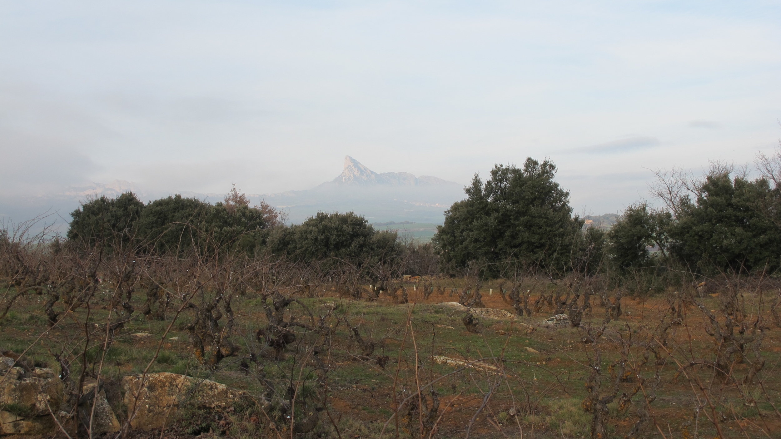 Caunes Minervois, Languedoc 