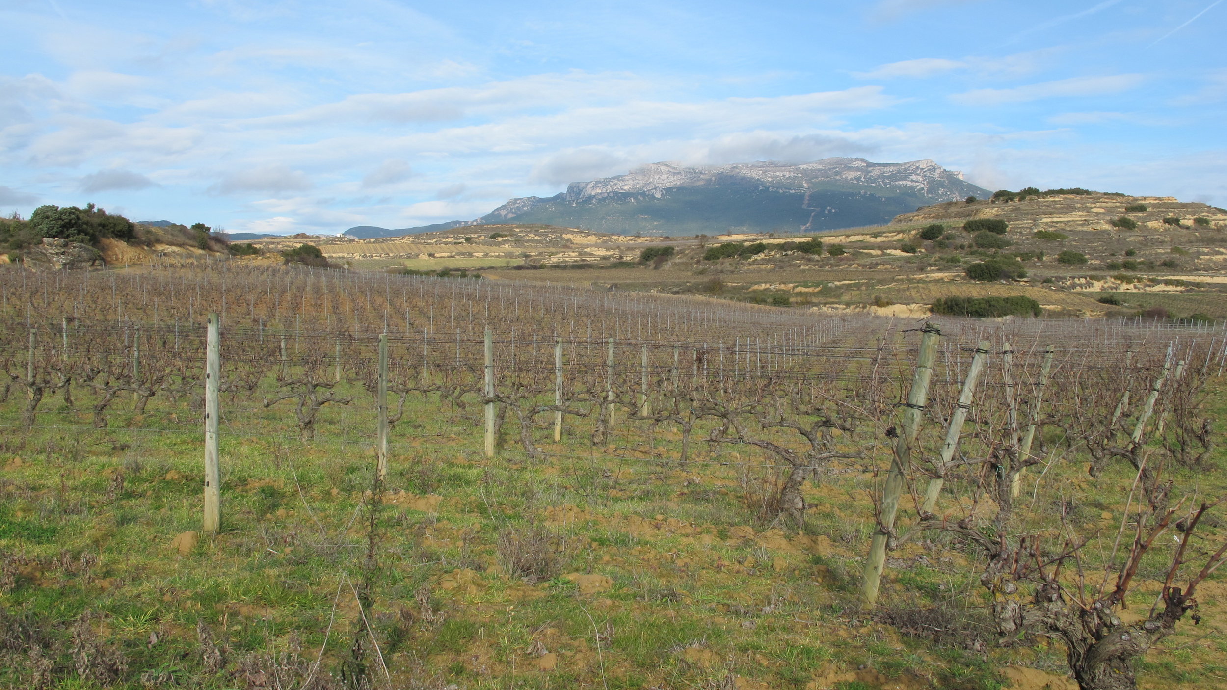 San Vicente de la Sonsierra, Rioja 