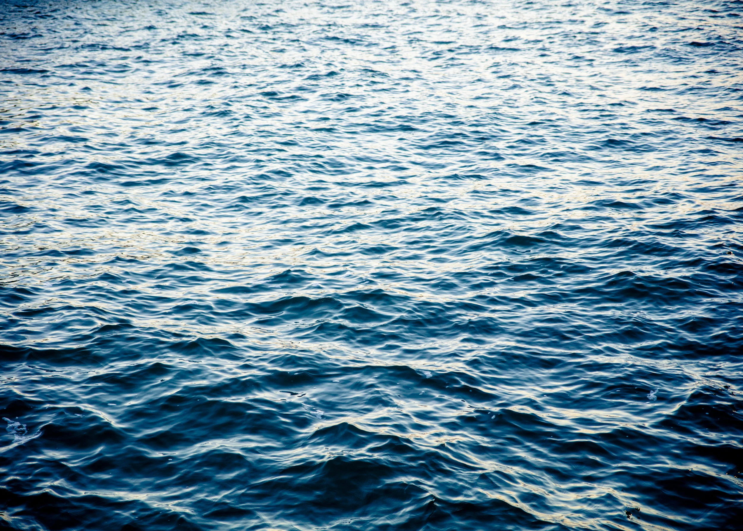two-x-sea_nparisi_0118.jpg