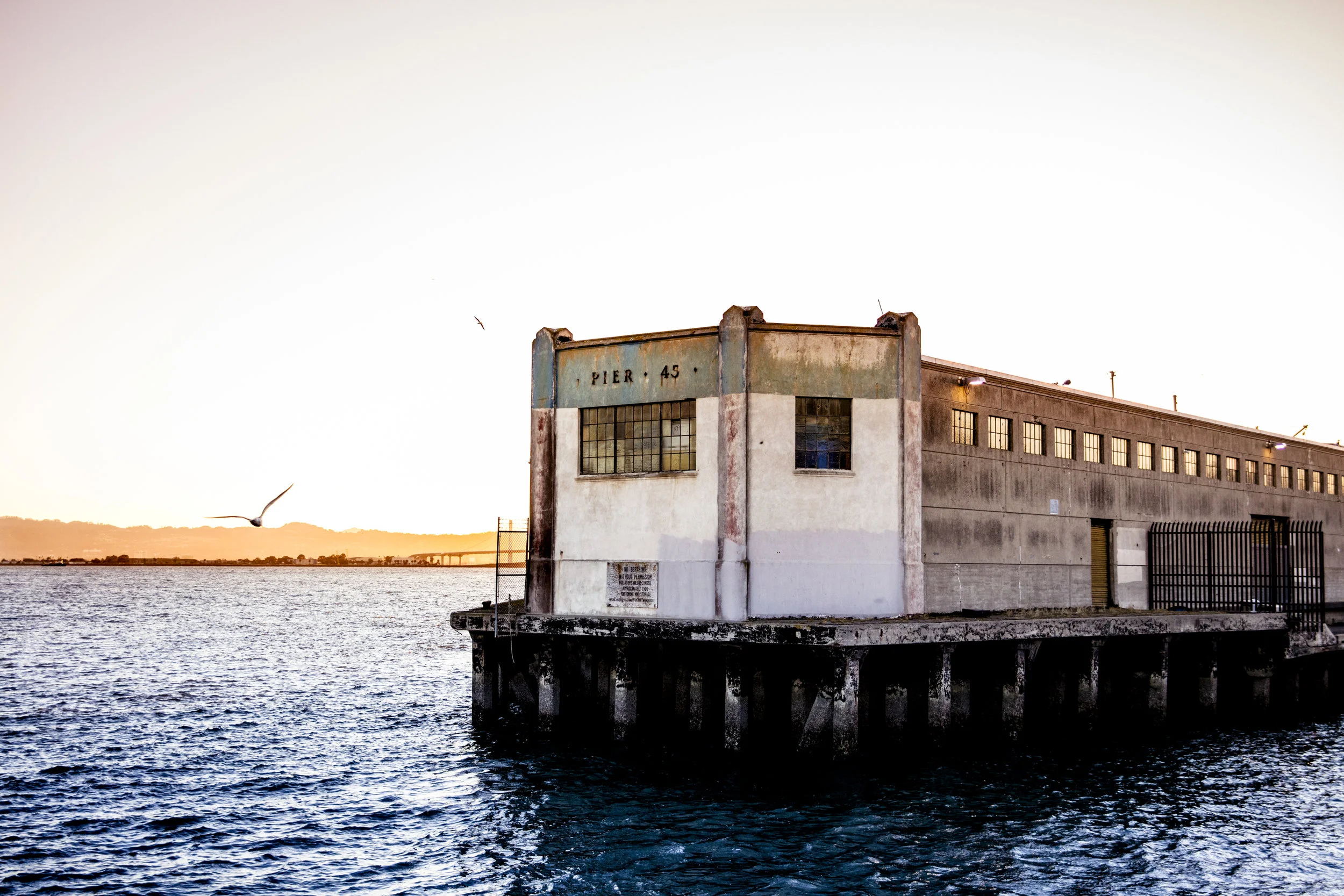 two-x-sea_nparisi_0187.jpg