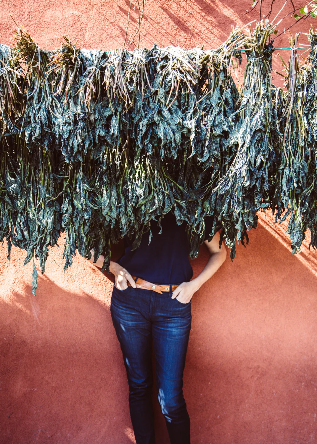 avfkw-indigo-harvest_nicolaparisi_0105.jpg