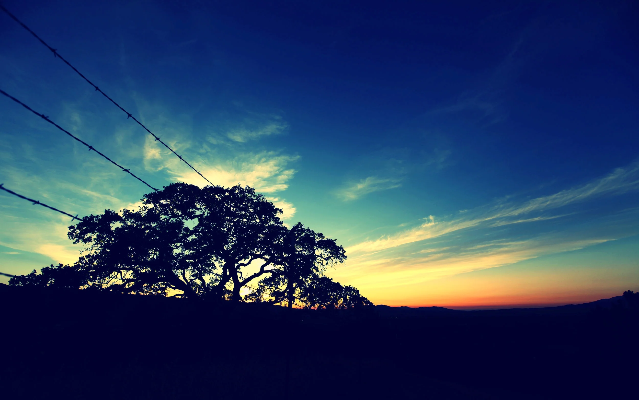 IMG_3351 edit.jpg
