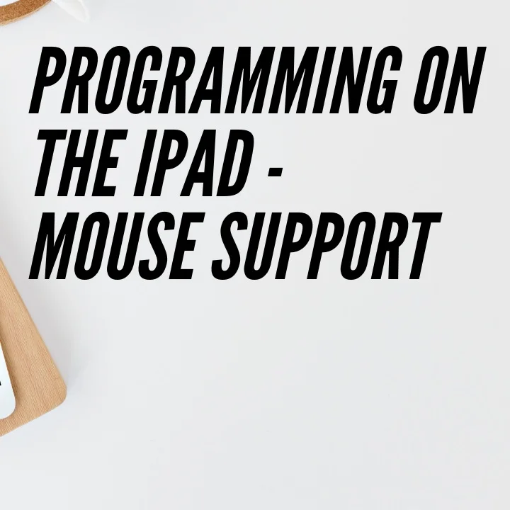 How to enable mouse support on iPadOS!