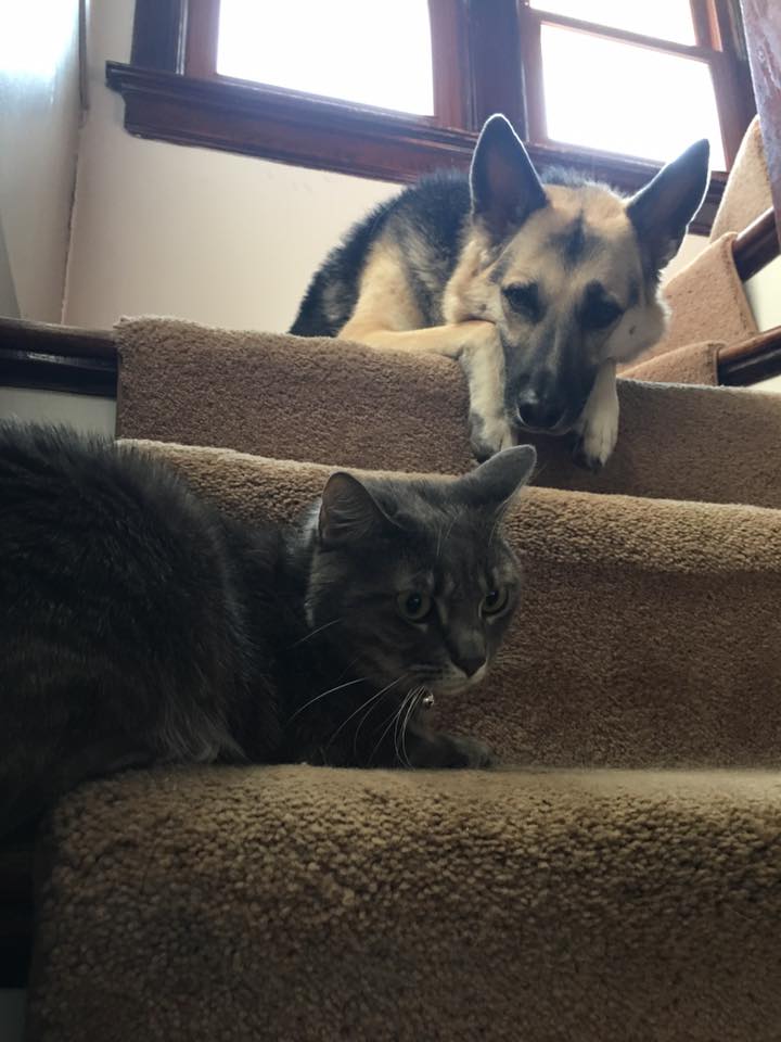 Belle and Kita