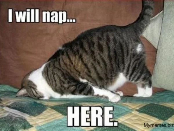 tired.jpg