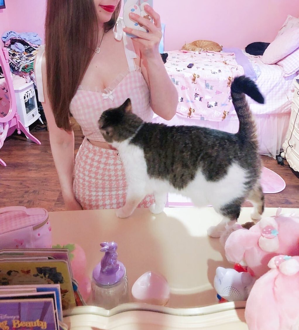 Curious little Bunny! Isn&rsquo;t she adorable!? Look at her tail!!!! 😍😍😍😍
.
#margaritabloom #cat #cutekitty #kittycat #princess #fashiongram #selfie #cinnamoroll #pinkfashion #pinkaesthetic #myaesthetic #ilovepink #pinkpinkpink #catlife #cats_of