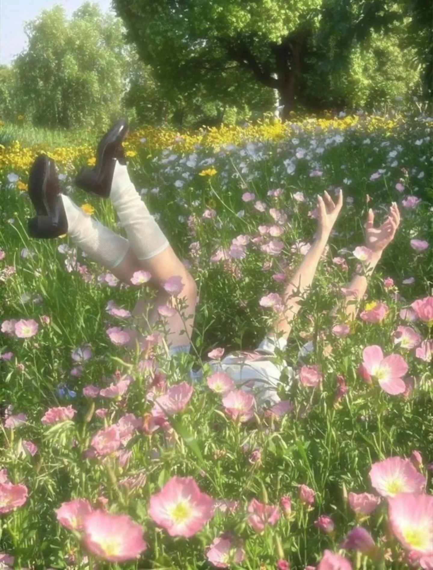 🌸🎀 Spring is here! 🌷🌸
Pollen kisses &amp; sunny wishes for a happy spring💛🌼
.
#spring #cottagecore #springtime #aesthetic #pretty