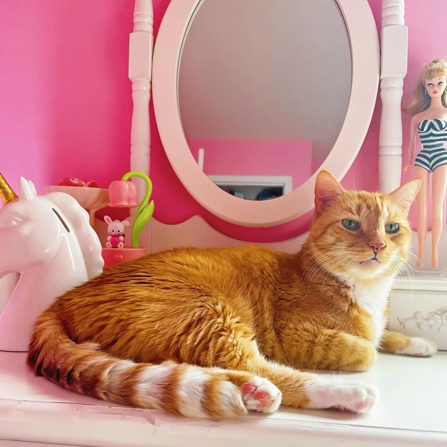 🌸💕🎀 My sweetheart Zeus&hellip;he&rsquo;s soooooo handsome!! I love him with all my heart. 💕🌸🎀
.
#cat #tabby #cats_of_instagram #kawaii #orangecat