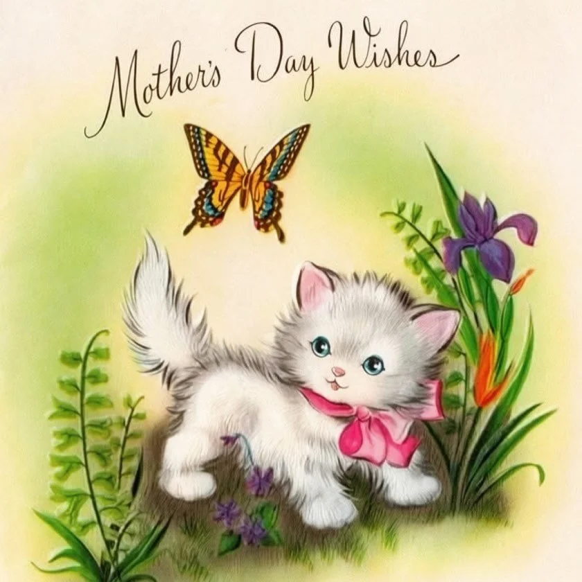 💕 Happy Meow-ther&rsquo;s Day!! 💕 Purrs, paws, and unconditional love 🐾 #happymothersday #furbabies #kitty  #iloveyou #mothersday❤️