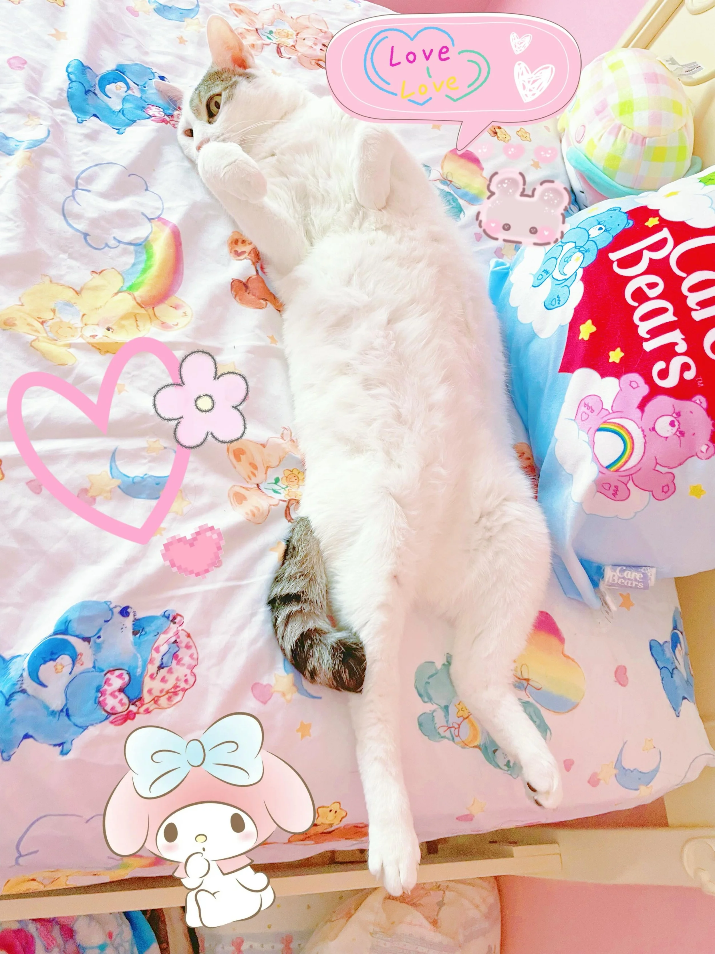 🎀👑Princess Lily👑🎀 

#cat #princess #cats_of_instagram #carebears #pastel