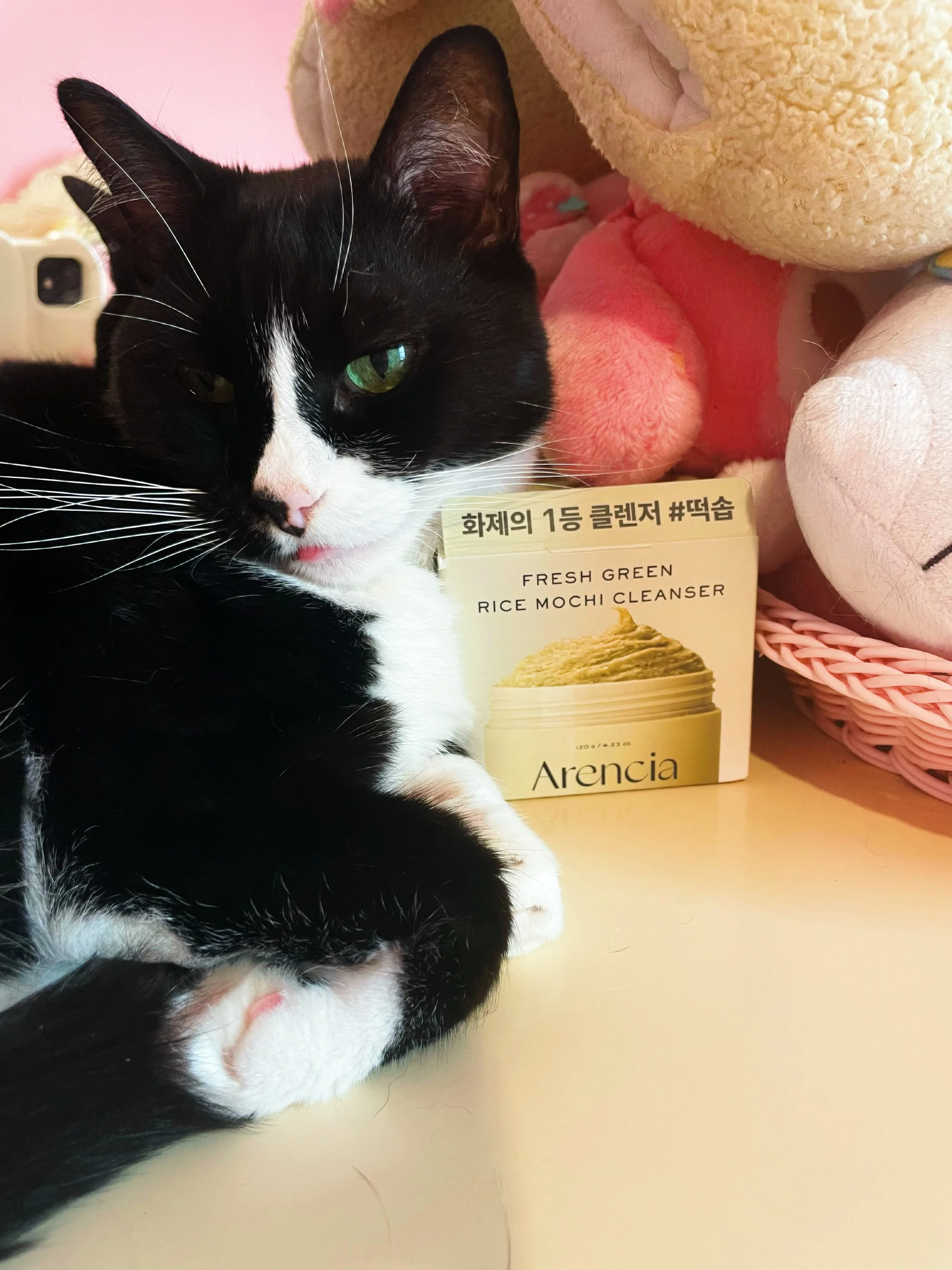 💚 I finally got to try @arenciaofficial mochi green tea cleanser and I adore it! I found it at TJ Maxx. Probably one of my best skincare finds there! Jane Austen approves as well! 💚 #cat #arencia #skincare #greentea #kawaii