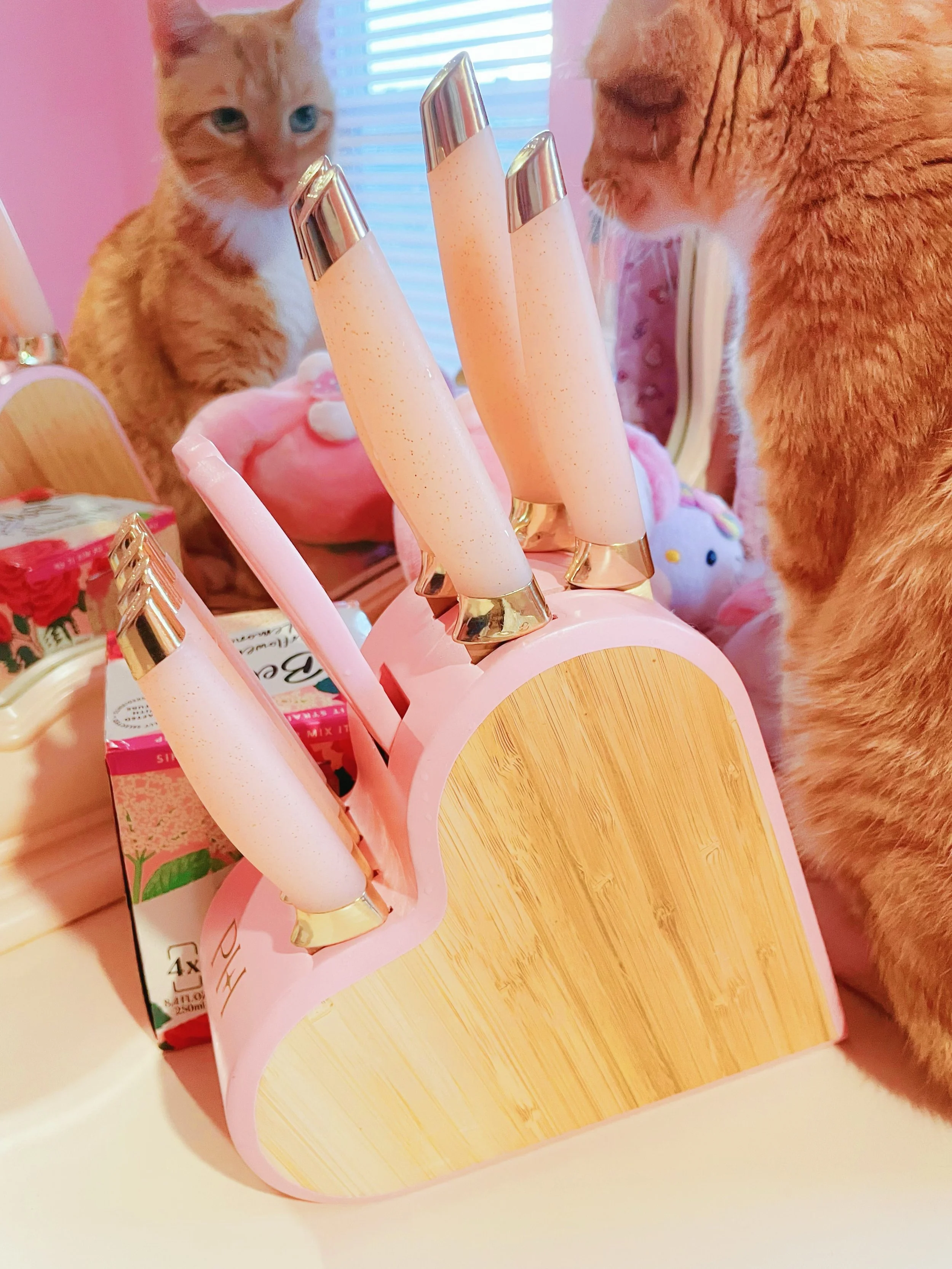 🎀Loving this pink heart shaped cutlery block. The kitties love it as well! 🎀 #heart #cats #cute #parishilton #kawaii