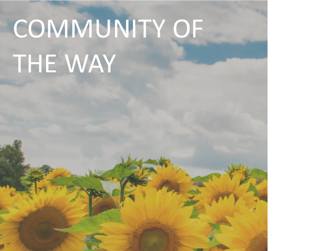 Introducing The Community of The Way
