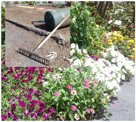 Transformation at SFC