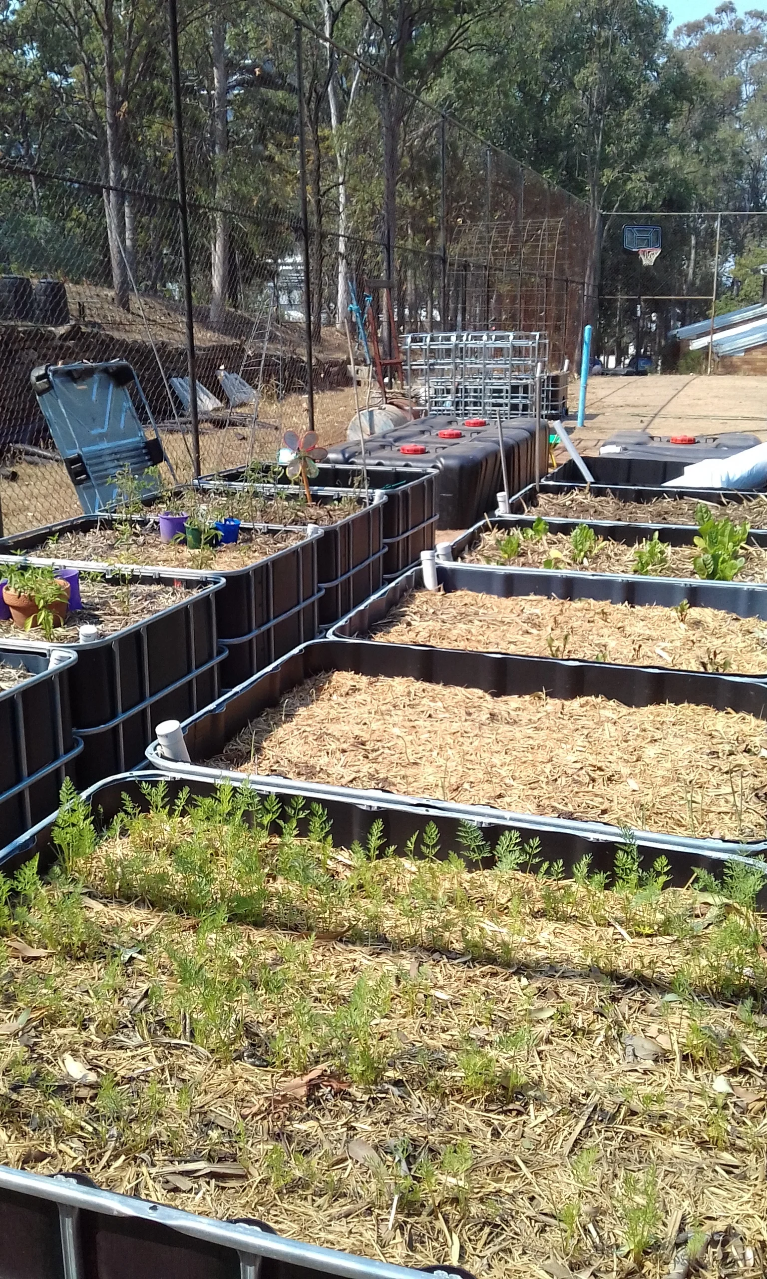 Community Garden Working Bee