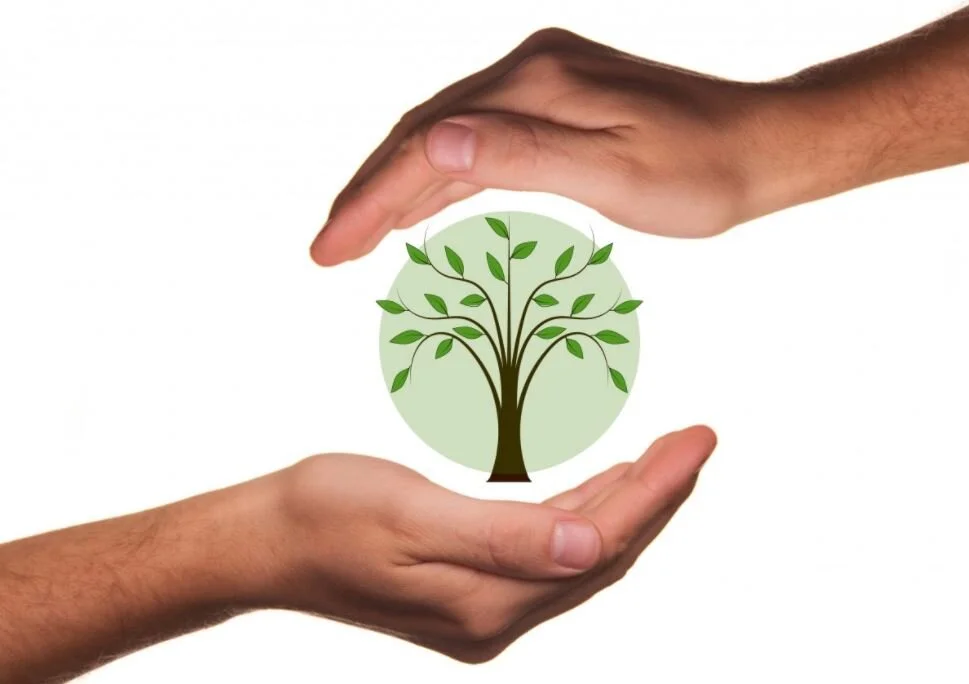 New Subject - Ecological Theology (THL211)