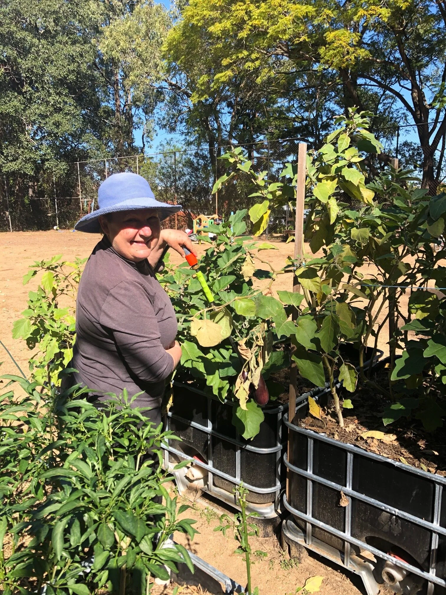 News from the Baroona Farm