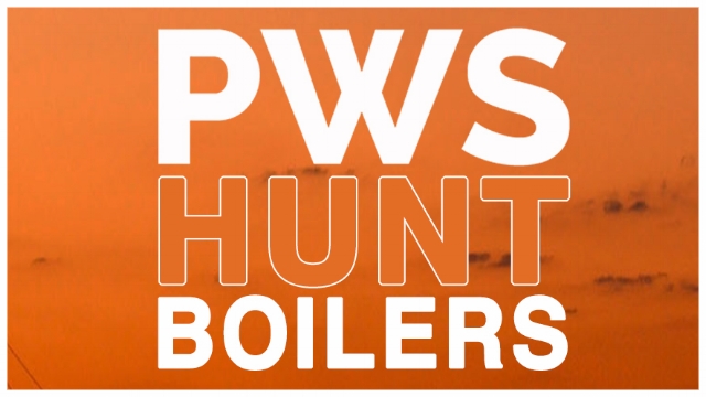 PWS-WEB-logo1.jpg