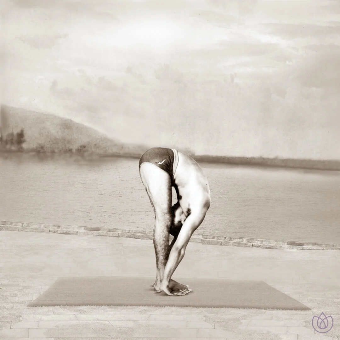 Yoga_Vana_Sun_Salutation_Step_3.jpg