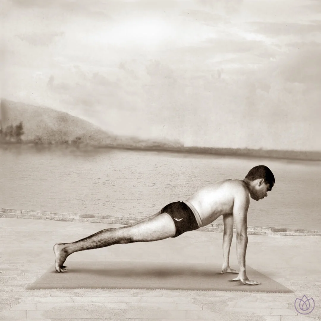 Yoga_Vana_Sun_Salutation_Step_5.jpg