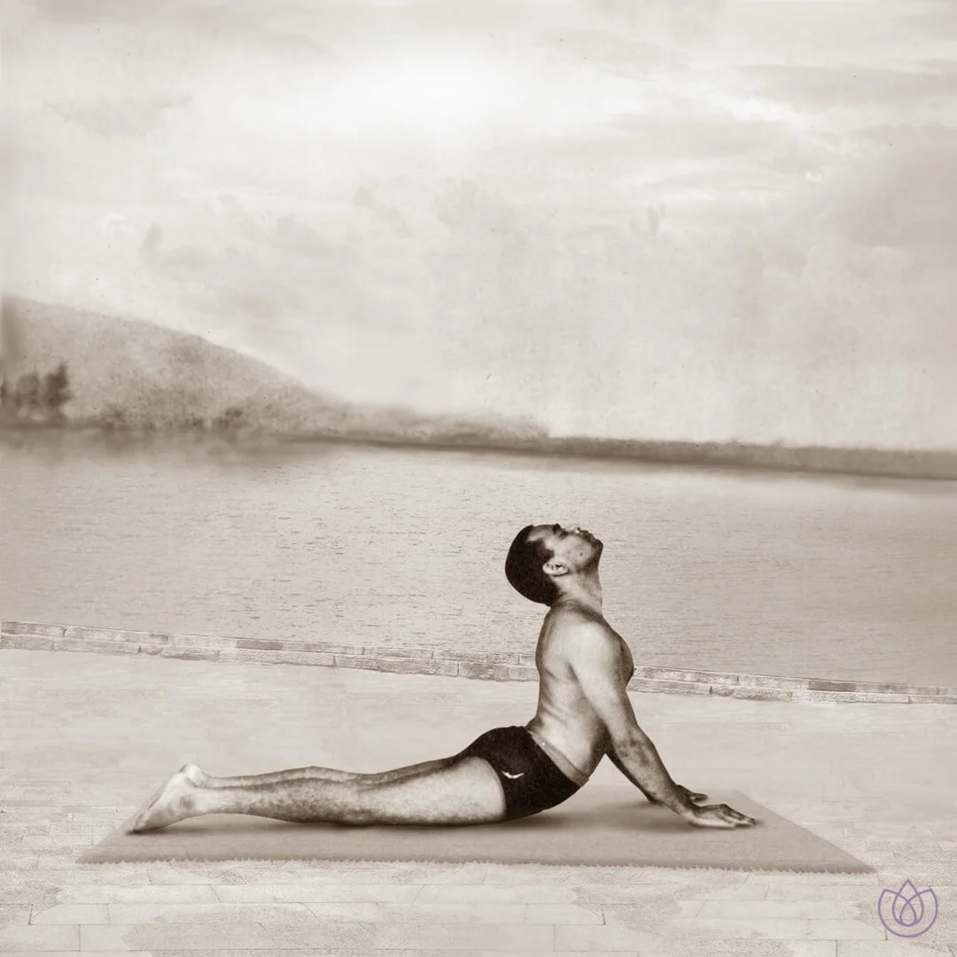 Yoga_Vana_Sun_Salutation_step_7.jpg