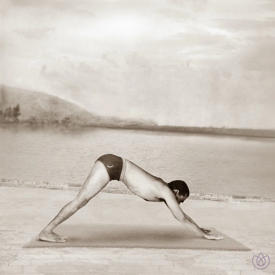 Yoga_Vana_Sun_Salutation_Step_8.jpg