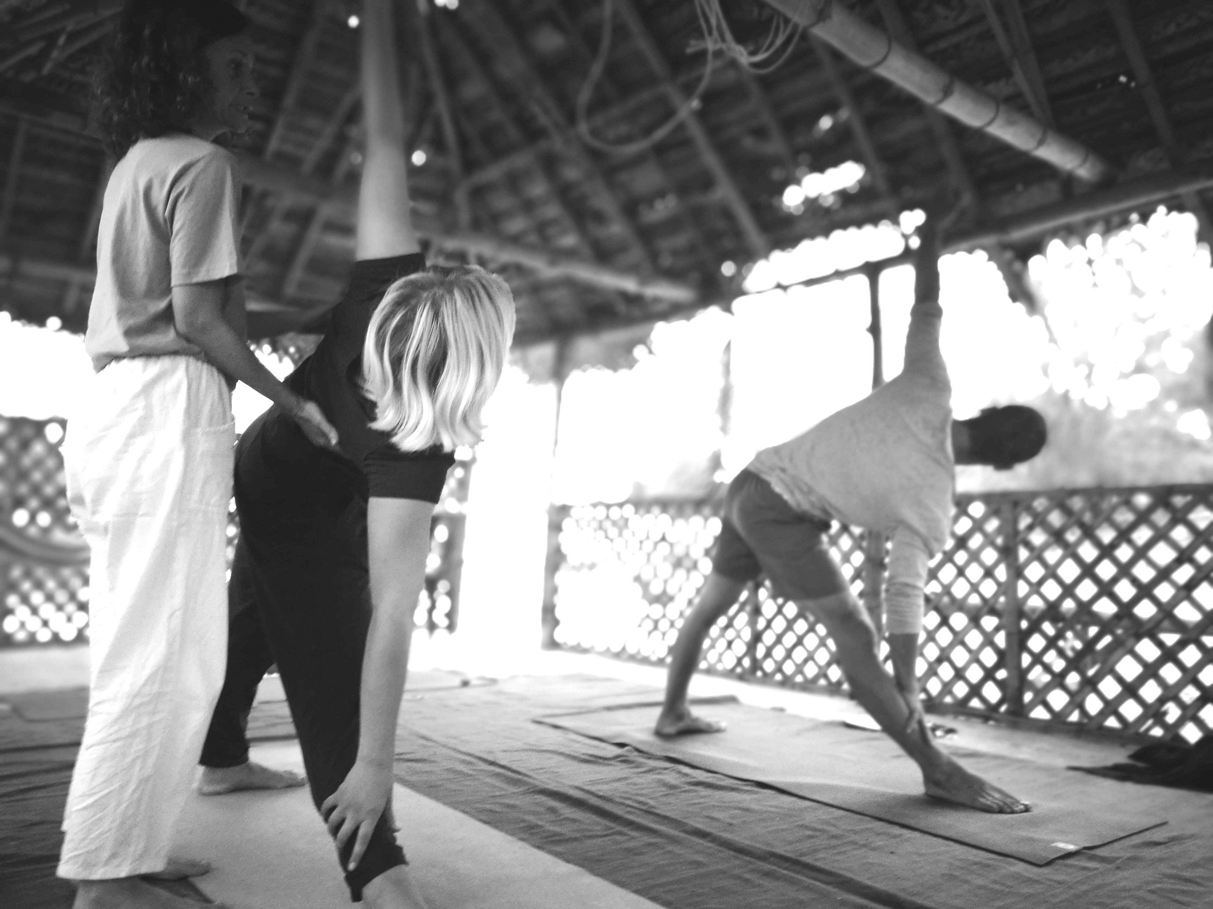yoga-teacher-training-asanas-yoga-vana.jpg
