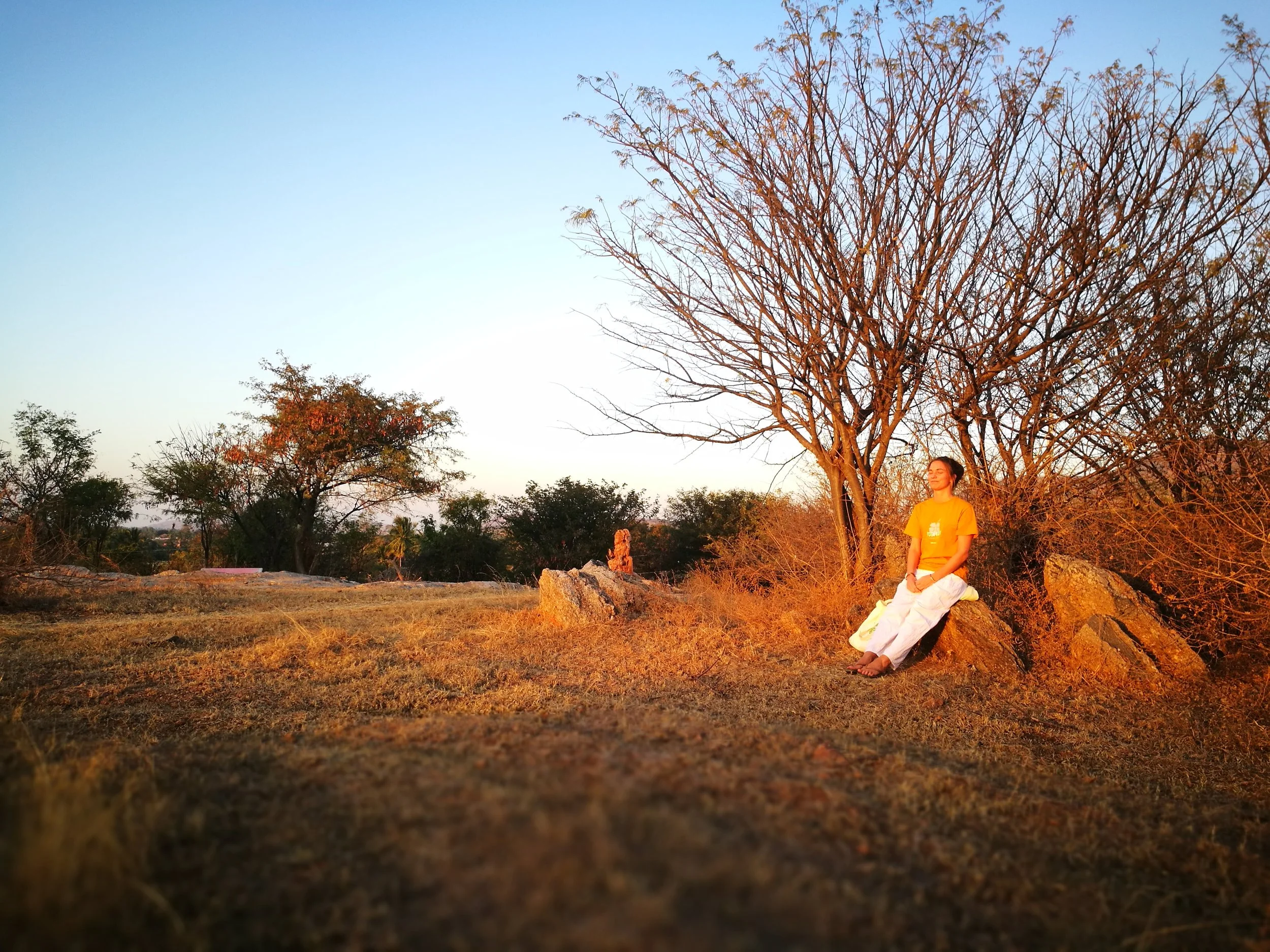 Yoga-Teacher-Training-India-Serene-Location.jpg