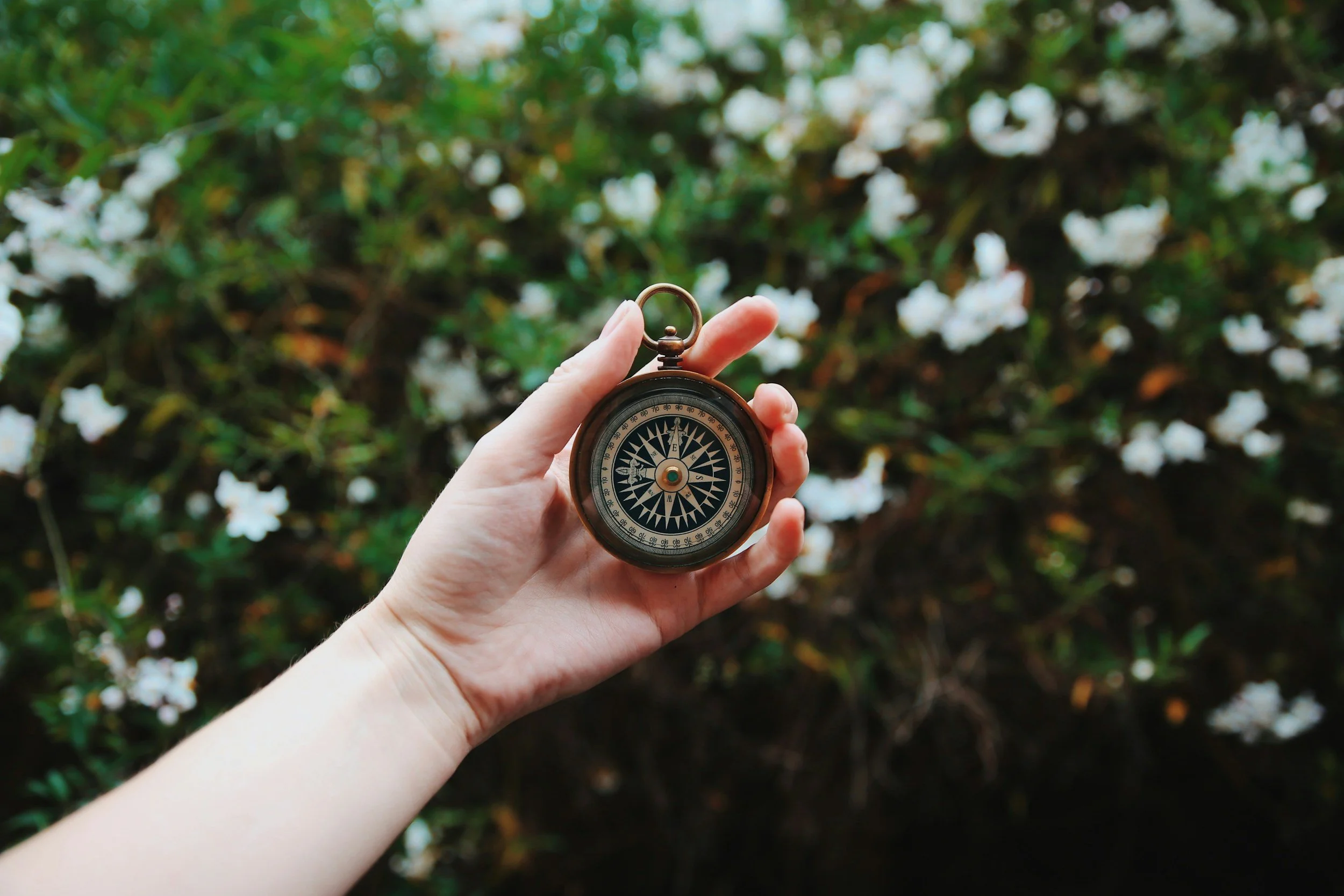 unsplash-image-f4amnWqRU70.jpg
