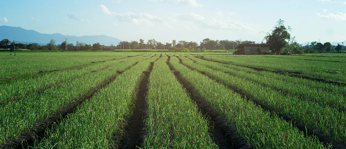 More farms are implementing IPM