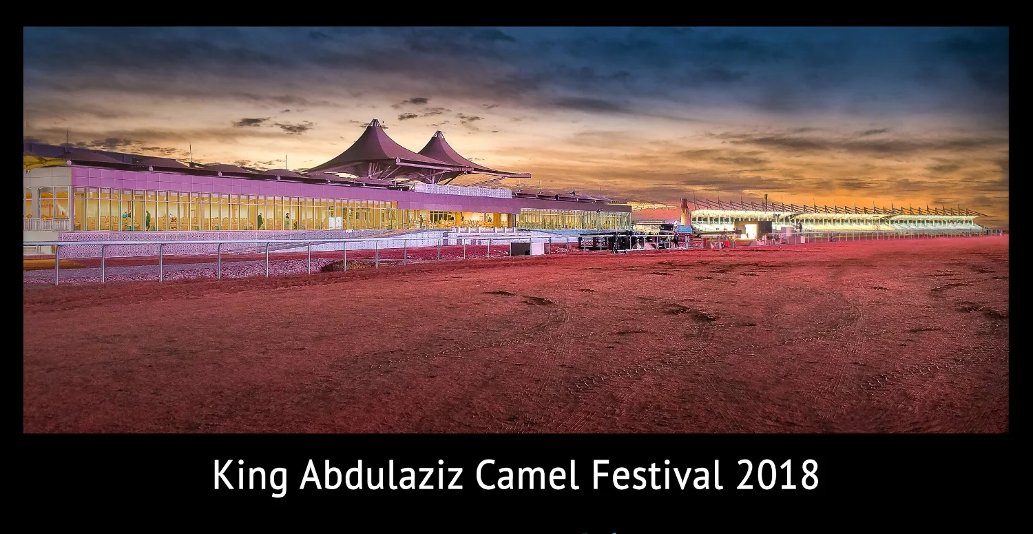 CamelWEB.jpg