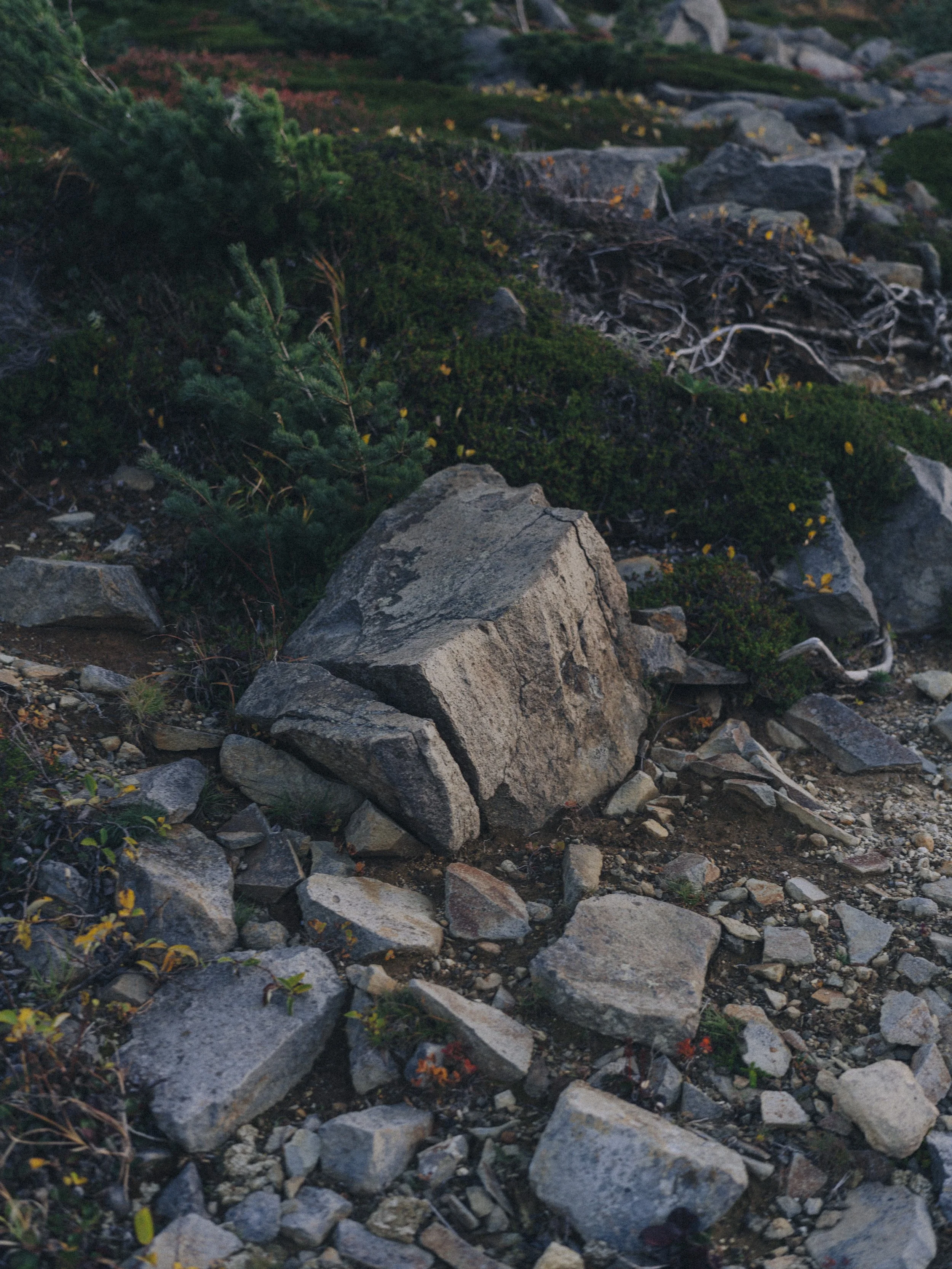 B0000886.jpg