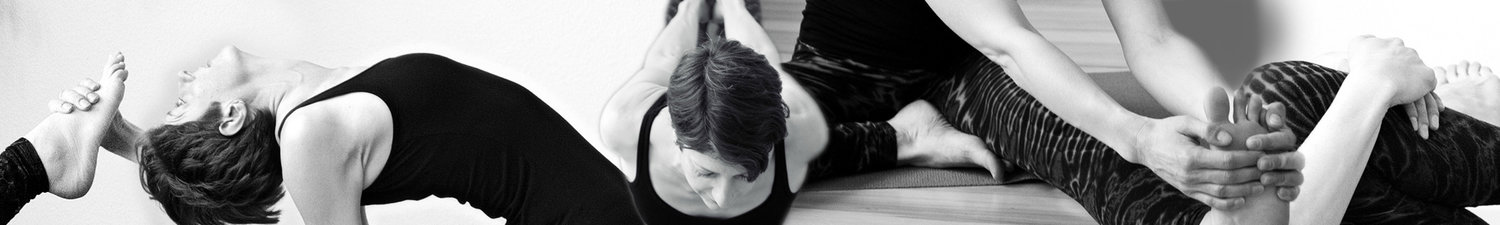 banner_test2_gespiegelt.jpg