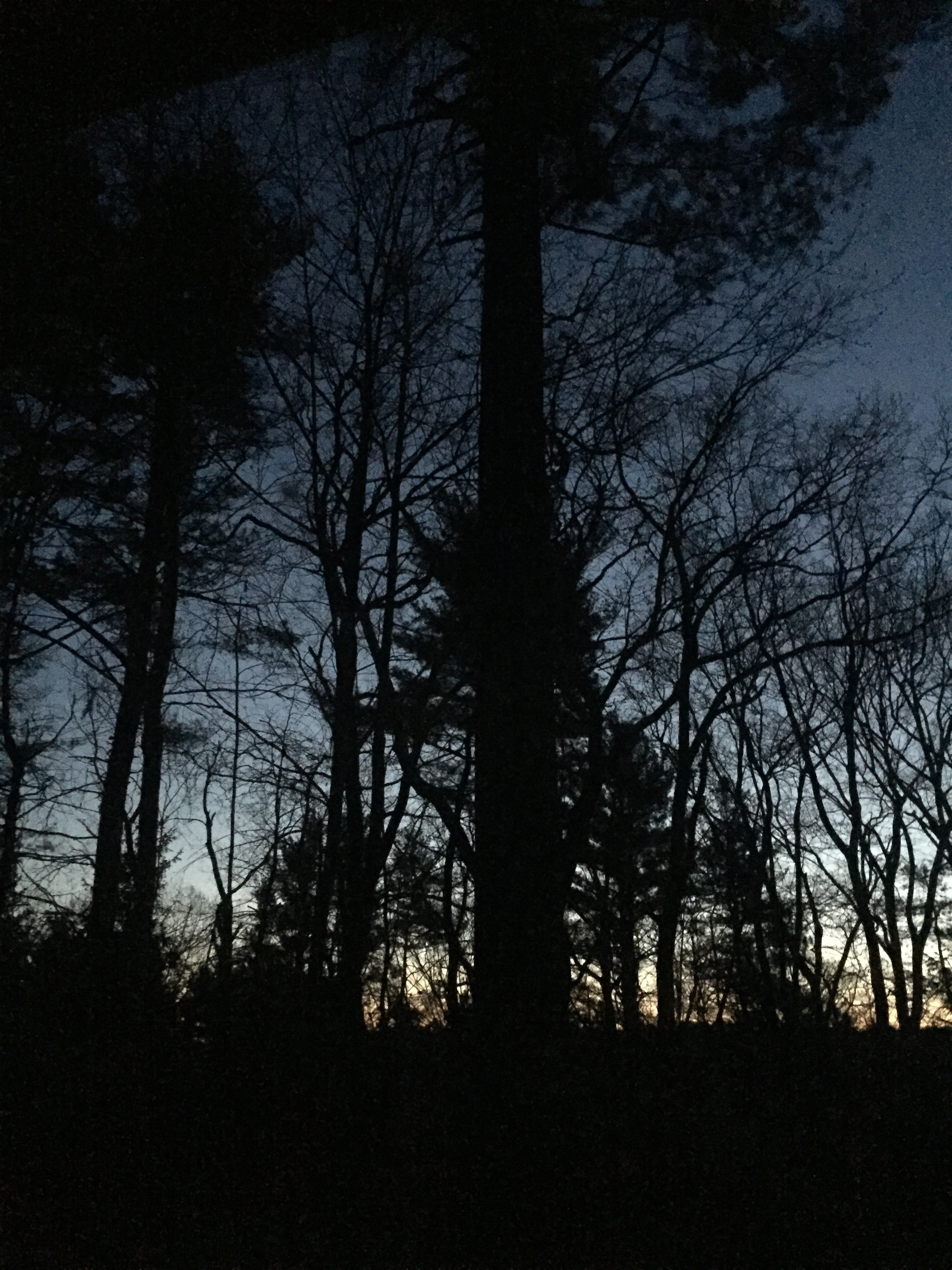 Editing Never Ends: Confessions of an Obsessed First-Time Author