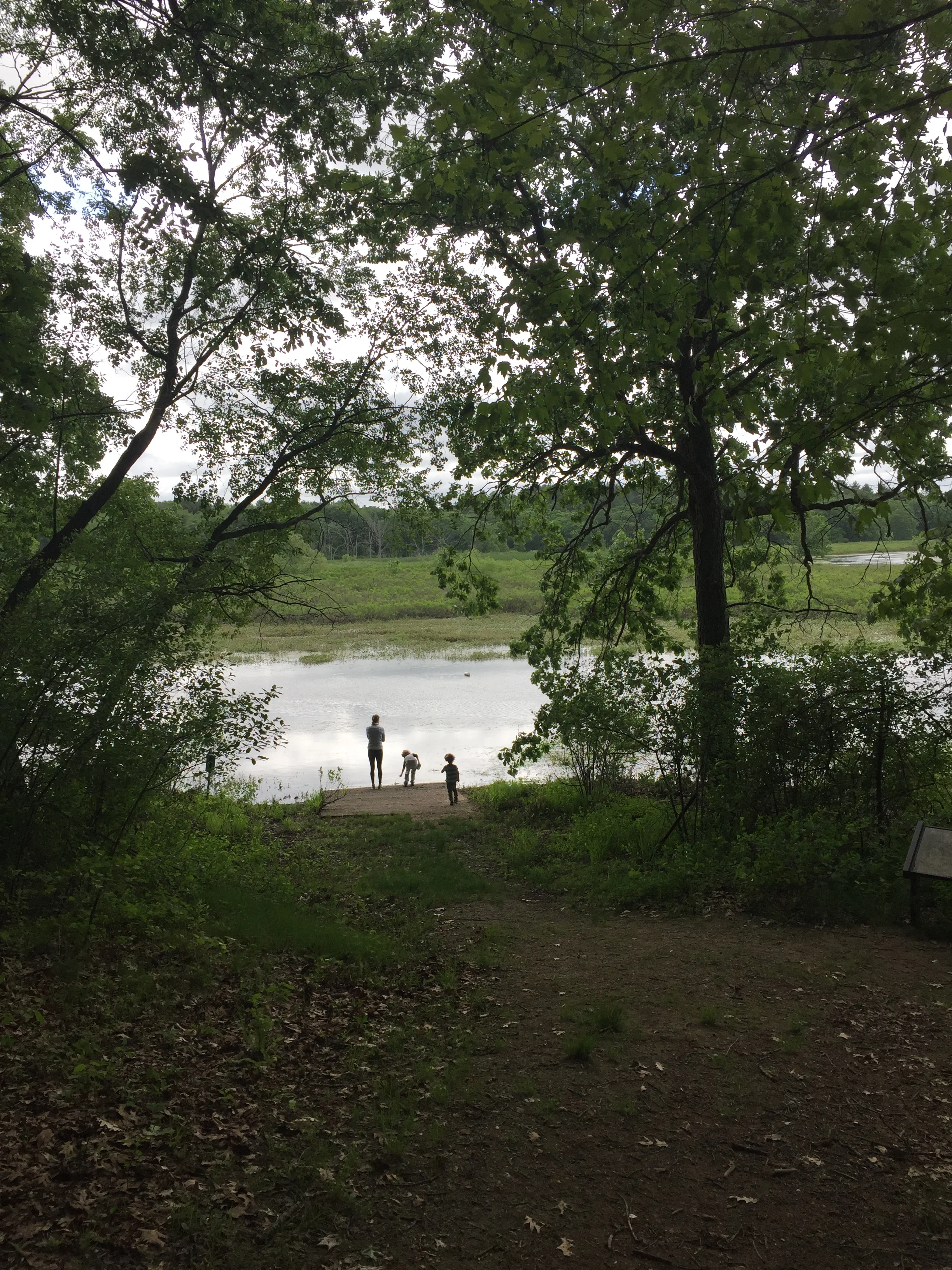 Some Things Sacrificed: Writing Discipline