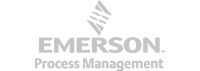_0005_4-Emerson-Project-Management.png.png