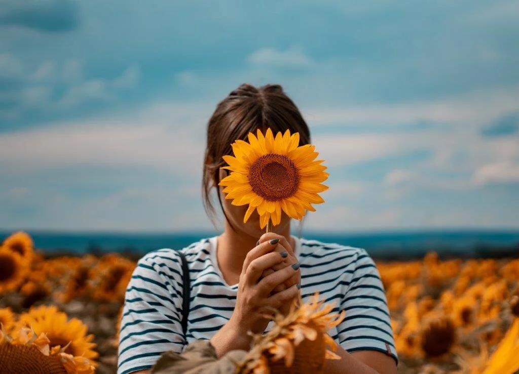 DYLOP-Sunflowers.jpg