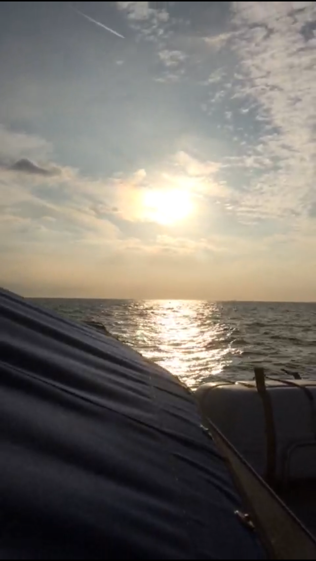 The Swim Part 3 - Daybreak