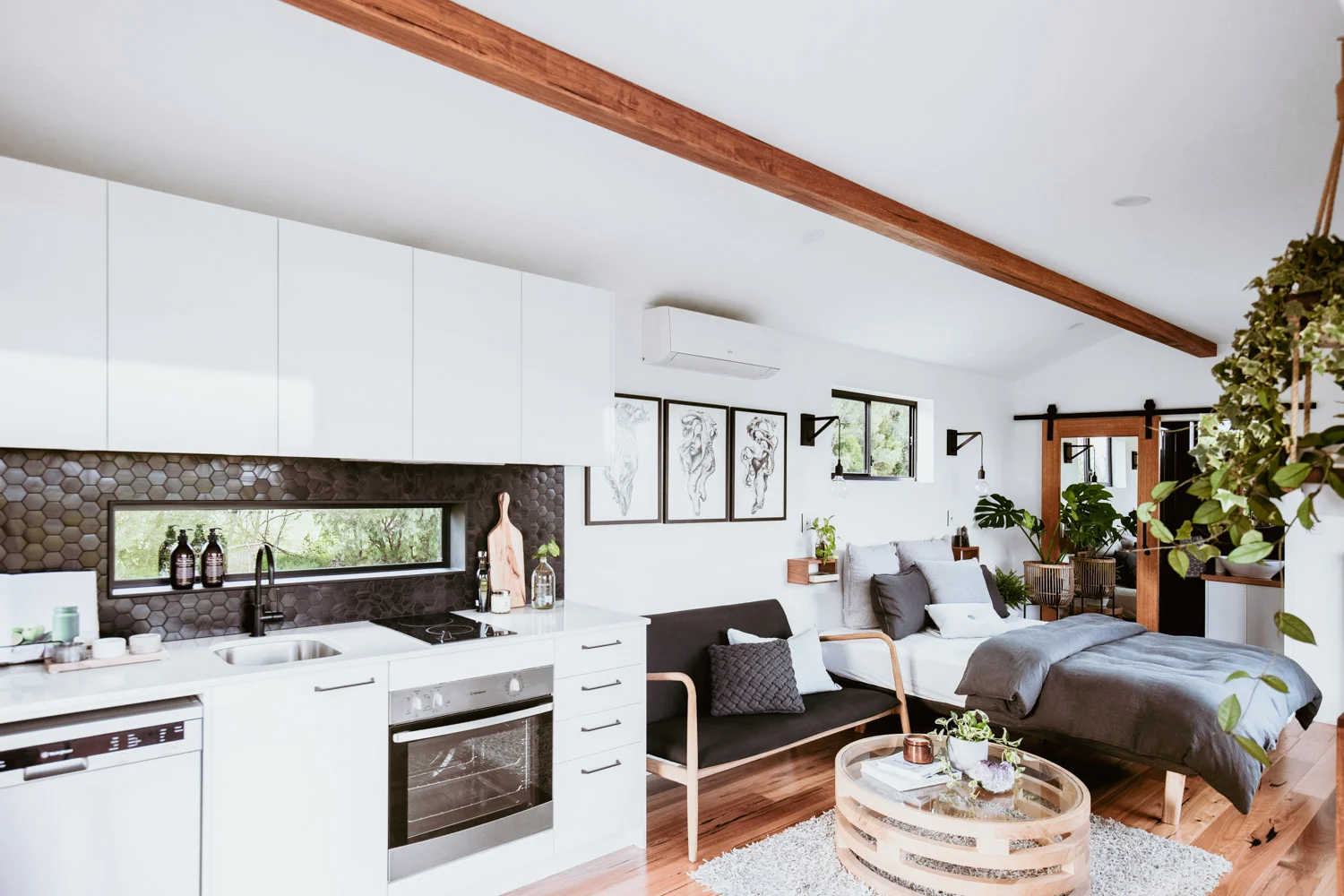 TinyAbodes_Tiny_House_WholeHouse_2-2.jpg